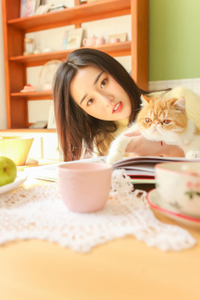 动画片葫芦娃全集播放免费